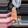 plant/Peach Satin Tower-0-thumbnail