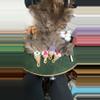 plant/Witches smudging fan-0-thumbnail