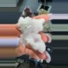 plant/Pink creedite-0-thumbnail