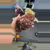 plant/Thunder bay amethyst-0-thumbnail