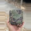 plant/Green crater 4.75x4.75-0-thumbnail