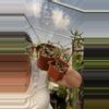 plant/Clearance-0-thumbnail