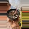plant/Cotyledon chocolate fingers-0-thumbnail