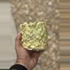 plant/Mellow yellow 4.25x4H-0-thumbnail