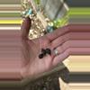 plant/Vanilla Ice Boom Longi Hybrid corm-1-thumbnail