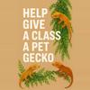 plant/Give a class a gecko-0-thumbnail