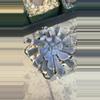 plant/Echevieria cupid-0-thumbnail