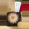 plant/1086 Echinocereus canus-1-thumbnail