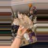 plant/Pink Lemurian cluster-0-thumbnail