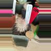 plant/1086 Echinocereus canus-0-thumbnail