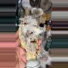plant/Columbian Lemurian 124B-0-thumbnail