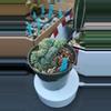 plant/DC Myrtillocactus Geometrizan f Cristata-0-thumbnail