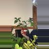 plant/Florida green-0-thumbnail