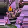 plant/Plant beanie (assorted colors)-0-thumbnail