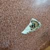 plant/Synar Ceramics Lava Glaze Shallow Planter-4-thumbnail