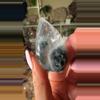 plant/Blue Tara Quartz flame-0-thumbnail