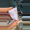 plant/Kunzite-0-thumbnail