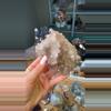 plant/Scarlet pink Lemurian-0-thumbnail