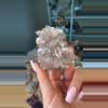 plant/scarlet pink Lemurian cluster-0-thumbnail