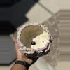 plant/Variegated cotton candy bonsai 6x3H-1-thumbnail
