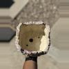 plant/Variegated cotton candy square 5.5x5H-1-thumbnail