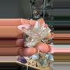 plant/Scarlet pink Lemurian 42-0-thumbnail