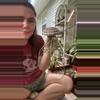 plant/Striped shell-0-thumbnail