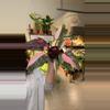 plant/philo pink princess marble exact plant-0-thumbnail