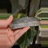 plant/Ocean Jasper slab-1-thumbnail