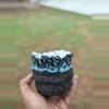 plant/Water drip coconut 4x3.75H-0-thumbnail