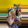 plant/Guinea Pig 1-0-thumbnail