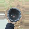 plant/Triple black footed 5x4.25H-1-thumbnail