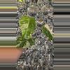 plant/Monstera Albo top cut-0-thumbnail