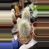 plant/4” old man cactus GC-0-thumbnail