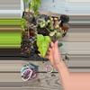 plant/bipen aura-0-thumbnail
