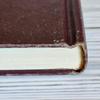 plant/Arthur Rackham's Fairy Book-5-thumbnail