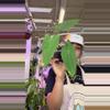 plant/1764 anthurium papi rlfs-0-thumbnail