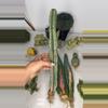 plant/Zebra 15-16”-0-thumbnail