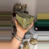 plant/Xl Statement Pyrite with chalcopyrite-0-thumbnail