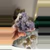 plant/Grape agate-0-thumbnail