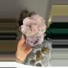 plant/New find pink calcite with hematite-0-thumbnail