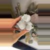 plant/Mangano calcite with pyrite-0-thumbnail