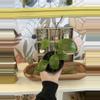 plant/1060 Hoya quinquenervia -0-thumbnail