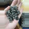 plant/Black lava rock-1-thumbnail