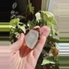 plant/High quality Smokey Garden Quartz free form w/ Black Rutile inside (brazil)-3-thumbnail
