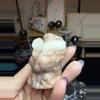 plant/orange banded calcite turkey -0-thumbnail