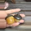 plant/yellow calcite and pyrite Acorn 🍂2 pack-0-thumbnail