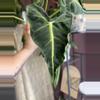 plant/Frydek Tattoo/Emerald Tide CORM-0-thumbnail