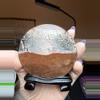 plant/picture jasper plate (attached stand)-0-thumbnail