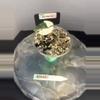 plant/RBR42 Alocasia Black Velvet Pink (PBV)-2-thumbnail